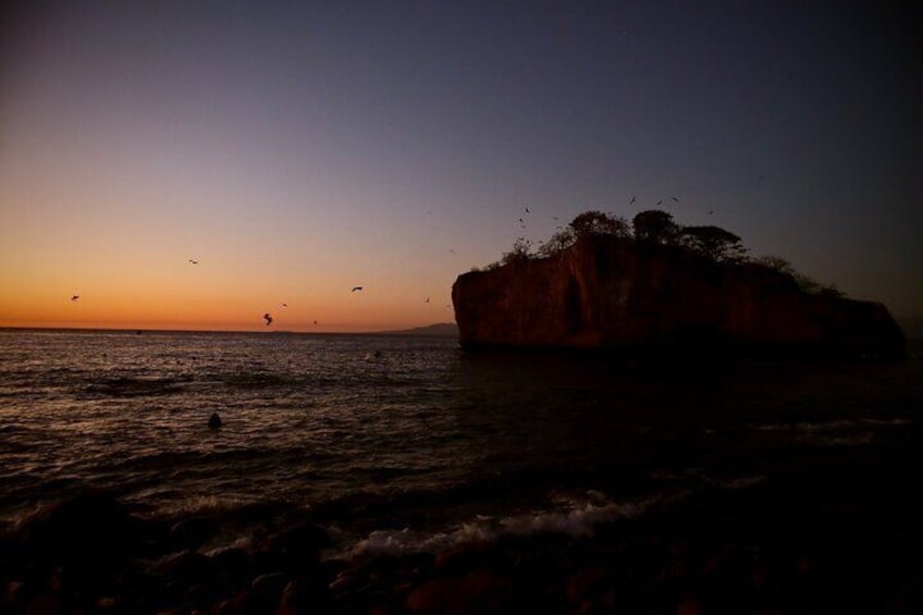 Sunset and Bioluminescence Boat Tour at Los Arcos Islands