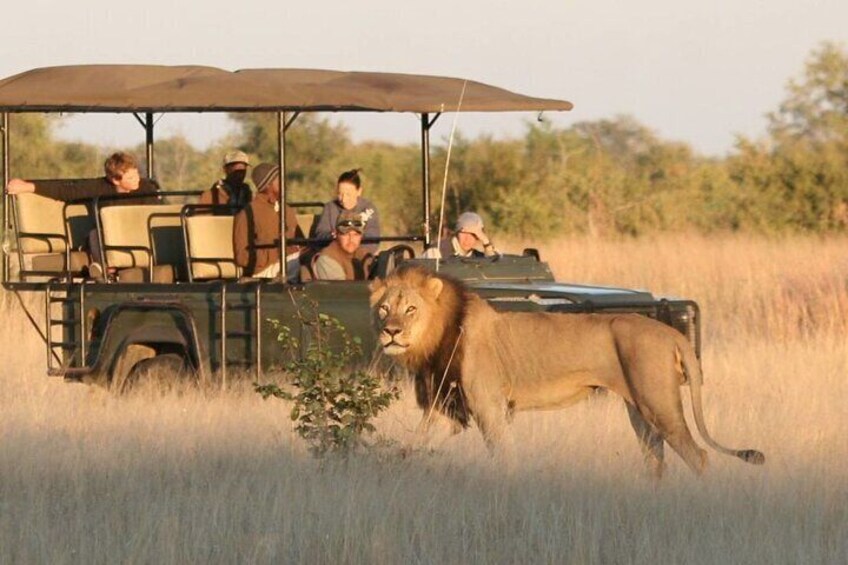 Garden Route 5 Day Tour from Durban