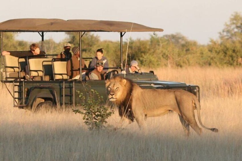 Garden Route 5 Day Tour from Durban