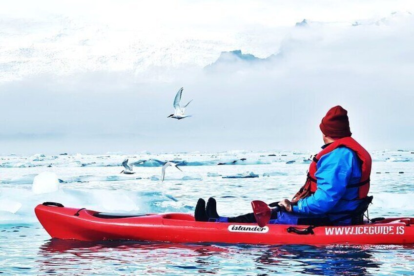 Glacier Lagoon Kayaking