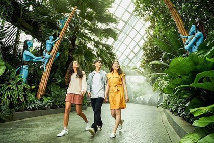 Gardens by the Bay - Skip the Line Entry Tickets