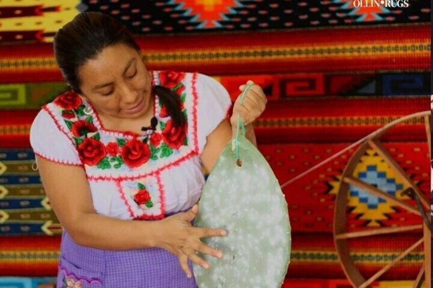 Tour Crafts, Agave Fields and Mezcal Distillery