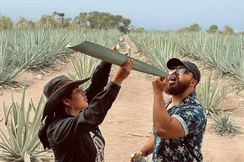 Tour Crafts, Agave Fields and Mezcal Distillery