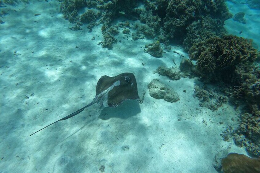 San Blas Island-Hopping : Full-Day Adventure from Panama City