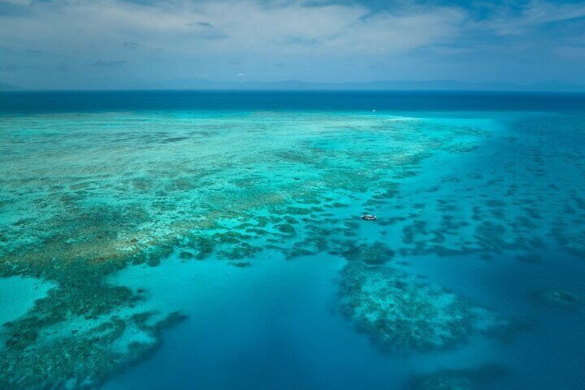 Cairns Snorkel Tour - Mid Morning Departure