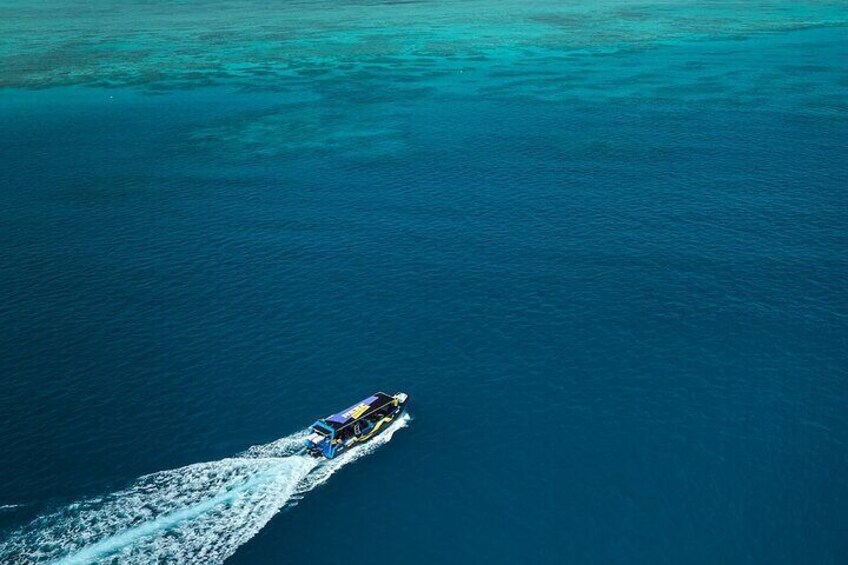 Cairns Snorkel Tour - Mid Morning Departure