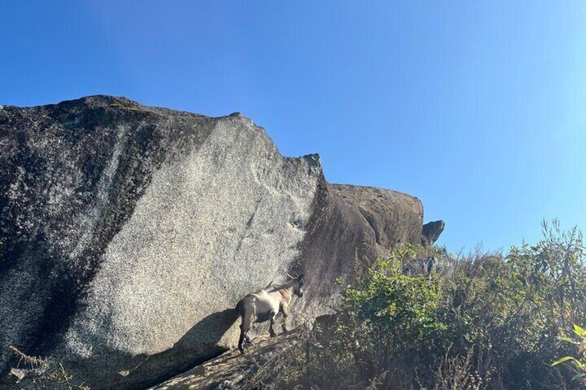 2 Day Hoang Lien Son Mountain Hike