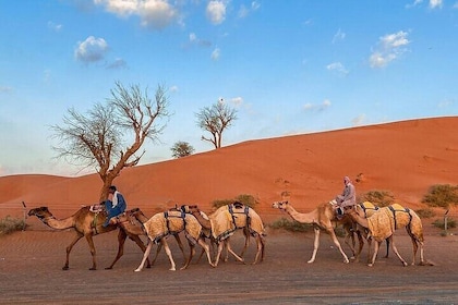 Dubai City Tour and Desert Safari Combo