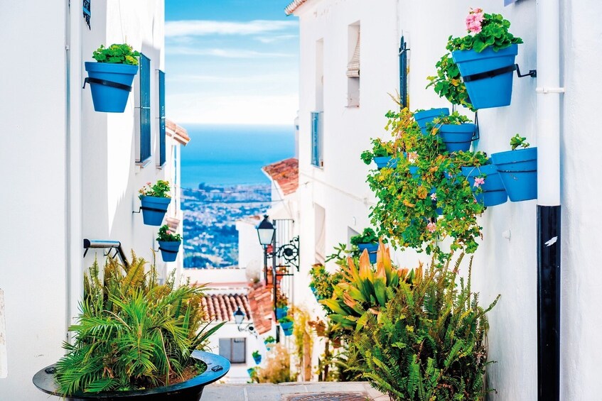 Panoramic View of Malaga with Wine Museum and Flamenco from Costa del Sol