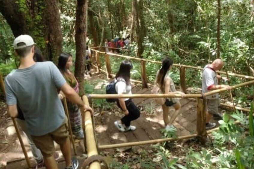 Hiking at Pha Dok Siew Nature Trail