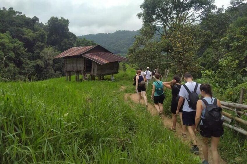 Hiking at Pha Dok Siew Nature Trail