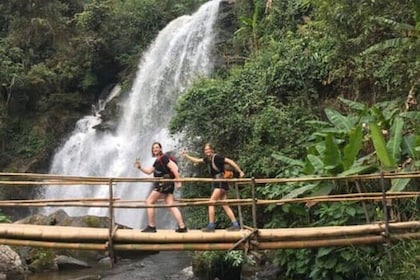 From Chiang Mai: Doi Inthanon Park & Pha Dok Siew Waterfall Hike