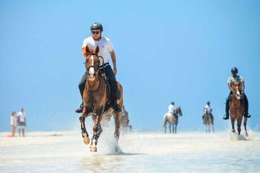Zanzibar Horse riding