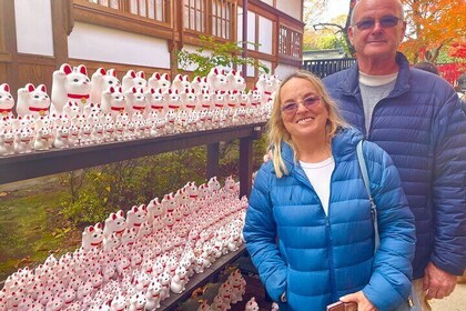 PM Tokyo Gotokuji Cat Temple Shinjuku Cat Cafe and 3D Cat Tour