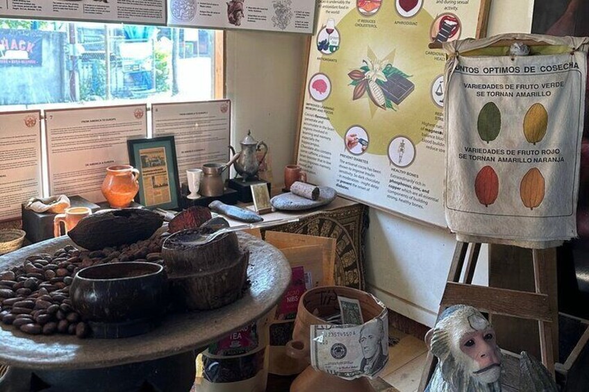 Roatan Private Custom Tour Chocolate Rum Sample