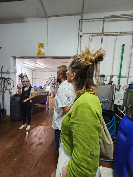 Picture 3 for Activity Tavira City & Olive Factory Tuktuk tour