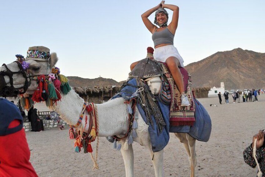 "Makadi Desert Safari: Quad Bike Ride, Camel Ride & Sea Caves Adventure with Hotel Pickup