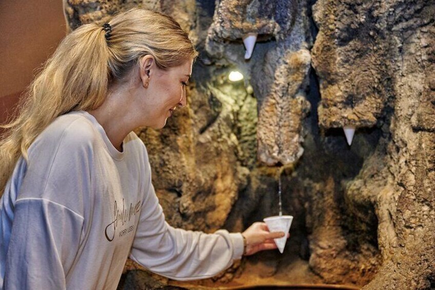 Guided tour of the Saalfeld Fairy Grottoes
