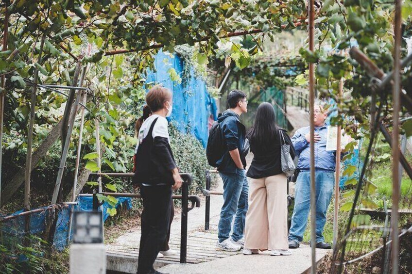 Osaka Winery and Historic Walking Tour