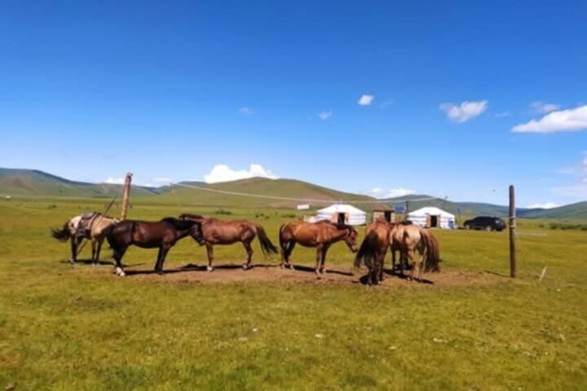 Private 4-Day Ulaanbaatar Chinggis Khan Statue Complex Tour