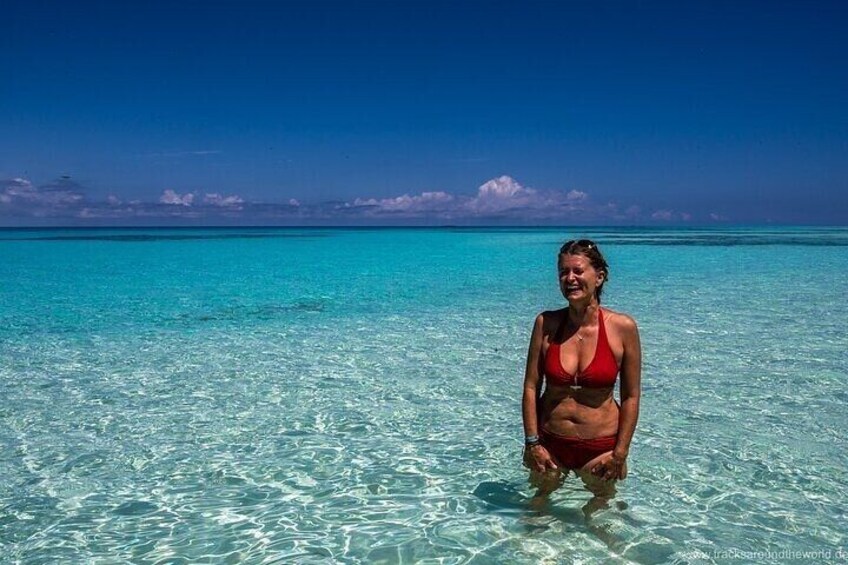 Nungwi Village & Turtle Swimming Tour with Transfer – Zanzibar