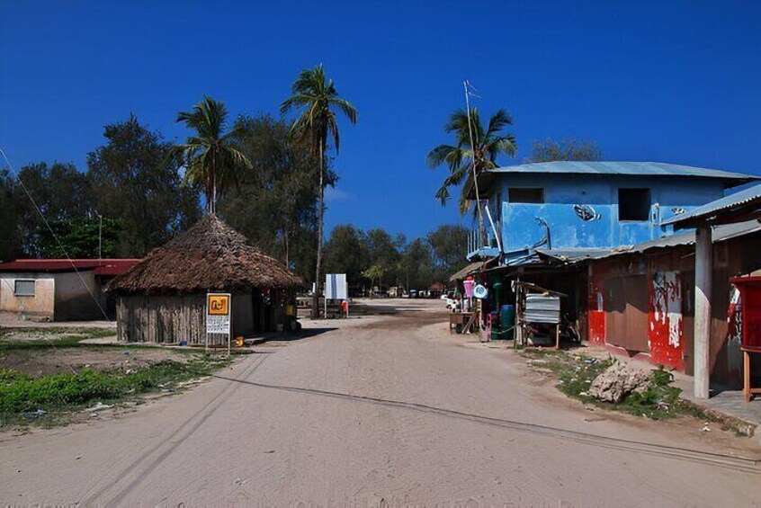Nungwi Village & Turtle Swimming Tour with Transfer – Zanzibar
