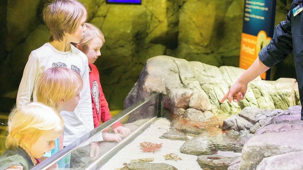 SEA LIFE Blankenberge Admission Ticket