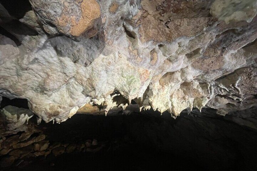 Explore 4 Yucatan Cenotes with Lunch Shared Tour from Merida 