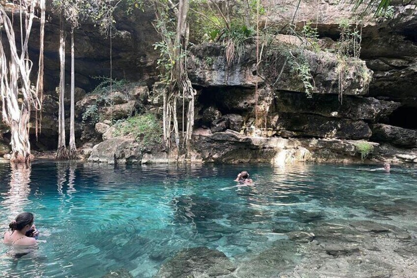 Explore 4 Yucatan Cenotes with Lunch Shared Tour from Merida 