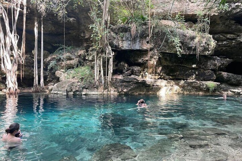 Explore 4 Yucatan Cenotes with Lunch Shared Tour from Merida