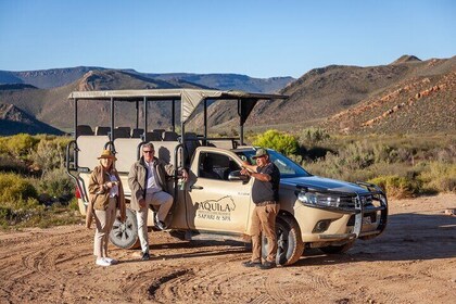 Inverdoorn Private Game Reserve Cape Town Tour