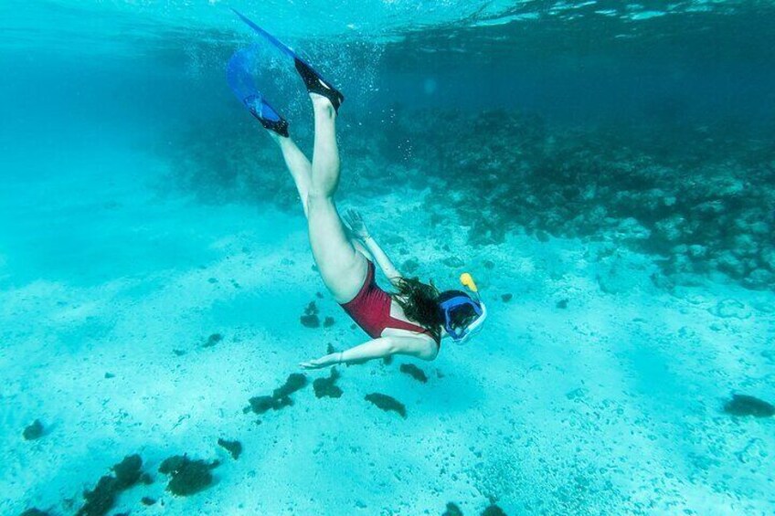 Snorkeling In Puerto Plata Plus Lunch and Transportation