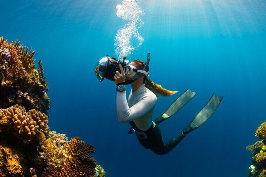 Snorkeling In Puerto Plata Plus Lunch and Transportation