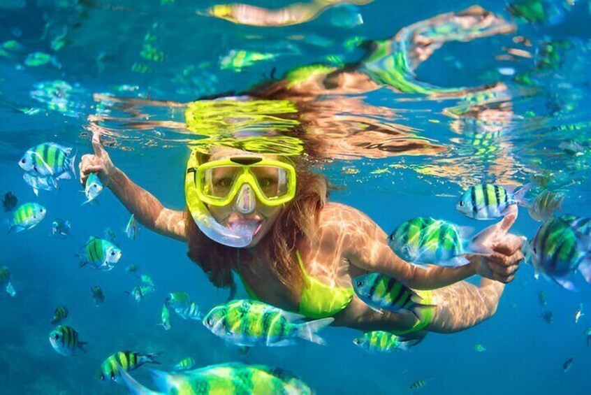 Puerto Plata Snorkeling Excursion to Sosúa Bay Lunch Included