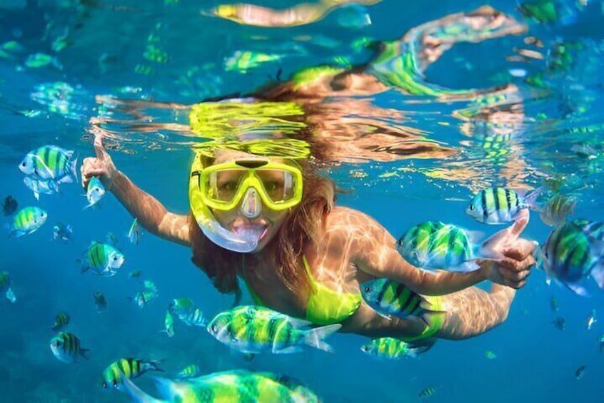 Puerto Plata Snorkeling Excursion to Sosúa Bay Lunch Included