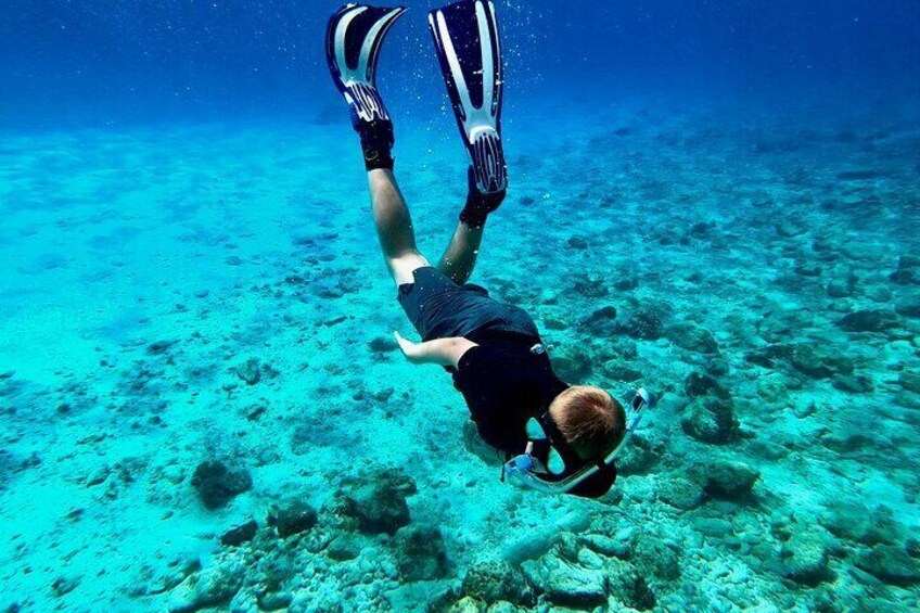 Snorkeling In Puerto Plata Plus Lunch and Transportation