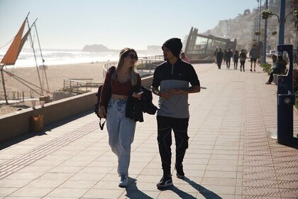 Santiago Full Day Tour in Viña del Mar and Valparaiso