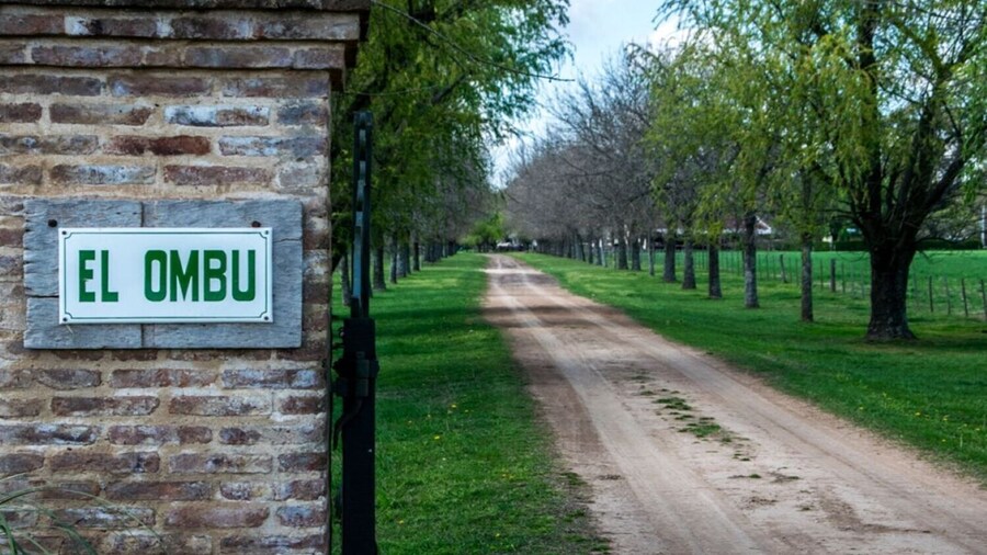 Gaucho Traditions & Asado at El Ombú Estancia