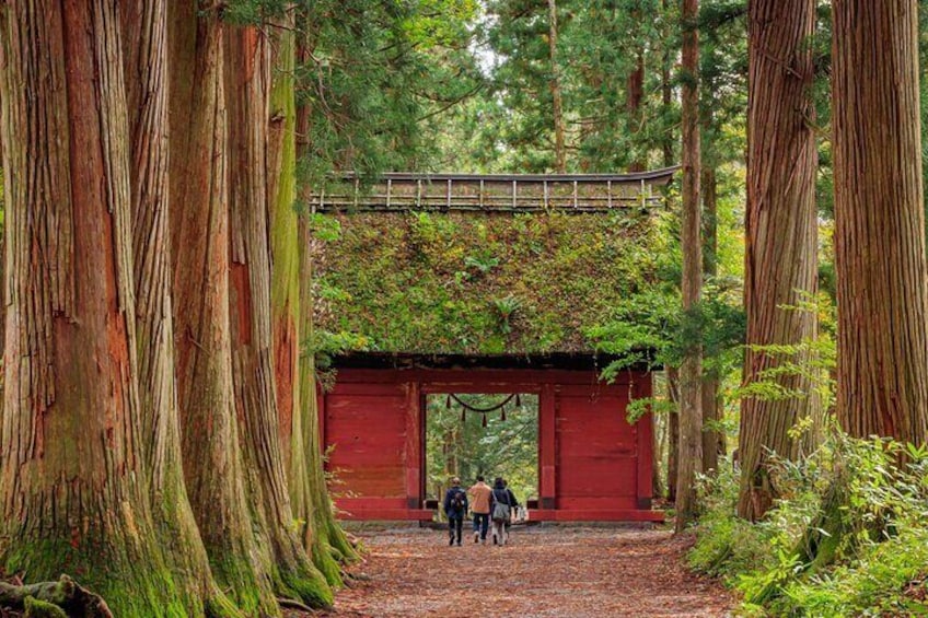 Nagano All Must-Sees Half Day Private Tour with Nationally-Licensed Guide