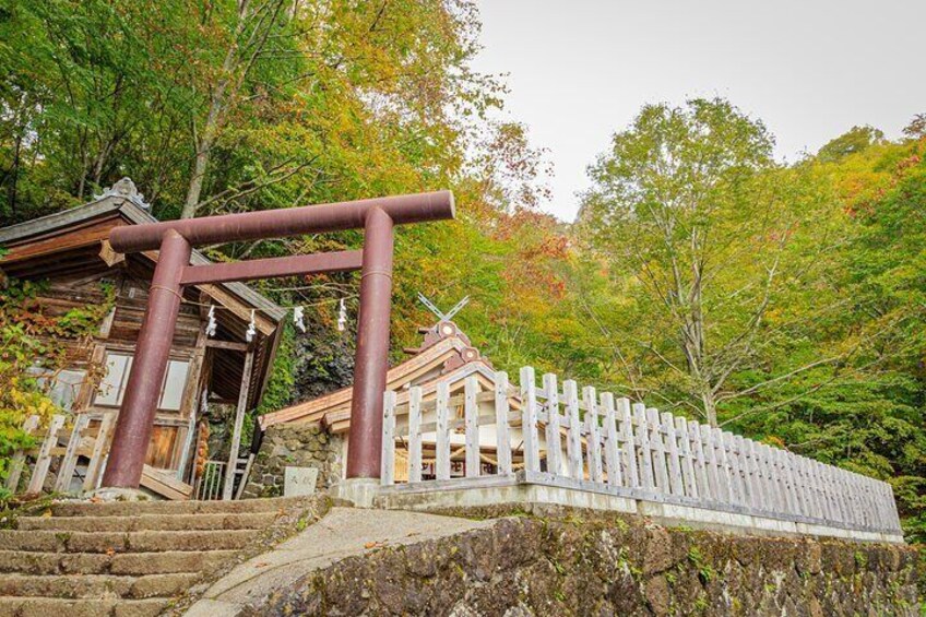 Nagano All Must-Sees Half Day Private Tour with Nationally-Licensed Guide