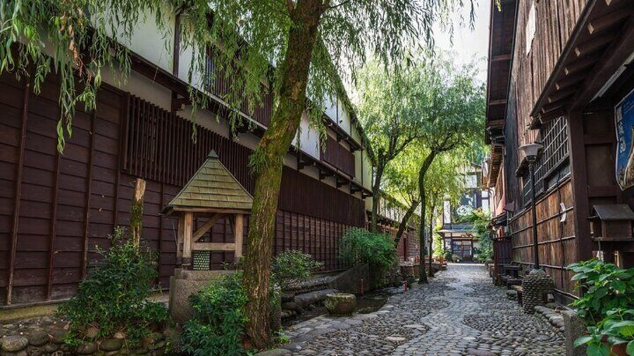Gujo Hachiman All Must-Sees Half Day Private Tour with Nationally-Licensed Guide