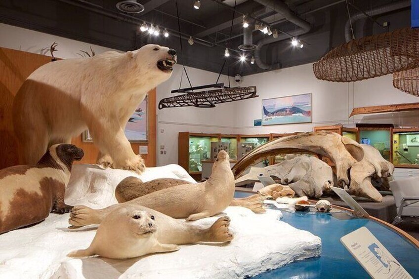 Fairbanks Top City Highlights Tour