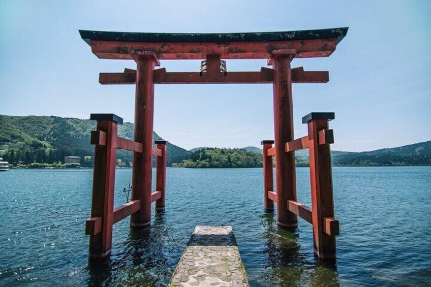 From Tokyo Cherry Blossom Season Private Day Tour in Hakone