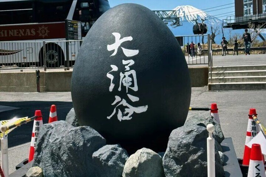 From Tokyo Cherry Blossom Season Private Day Tour in Hakone
