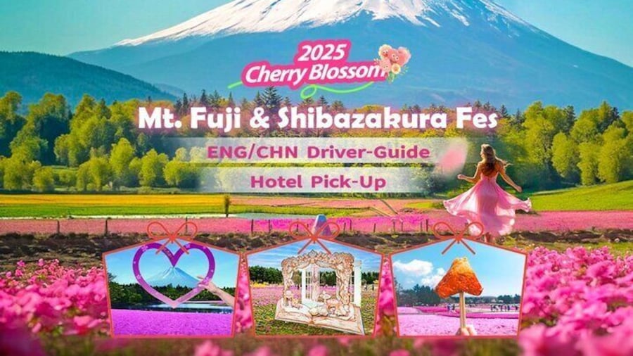 Tokyo Cherry Blossom Mt Fuji and Shibazakura Festival Day Trip