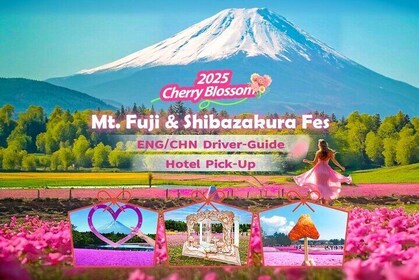 Tokyo Cherry Blossom Mt Fuji and Shibazakura Festival Day Trip