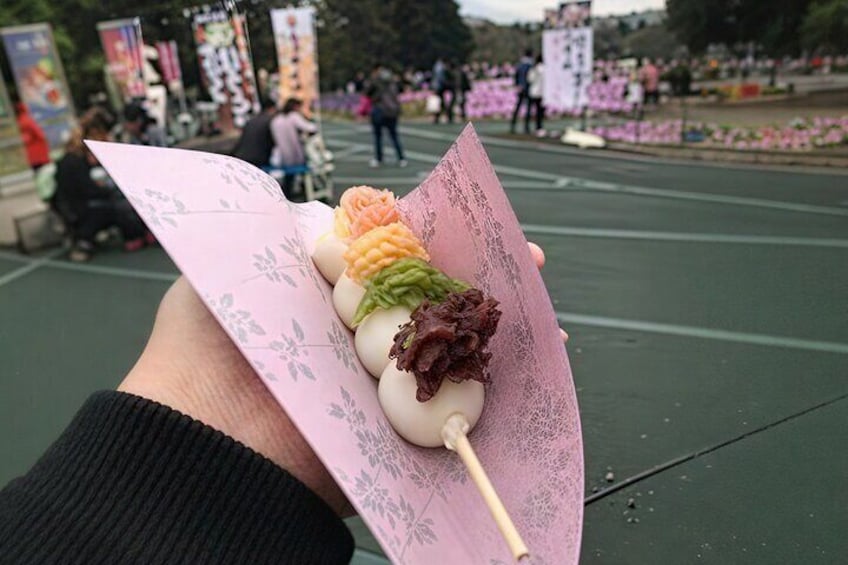 Tokyo Cherry Blossom Mt Fuji and Shibazakura Festival Day Trip