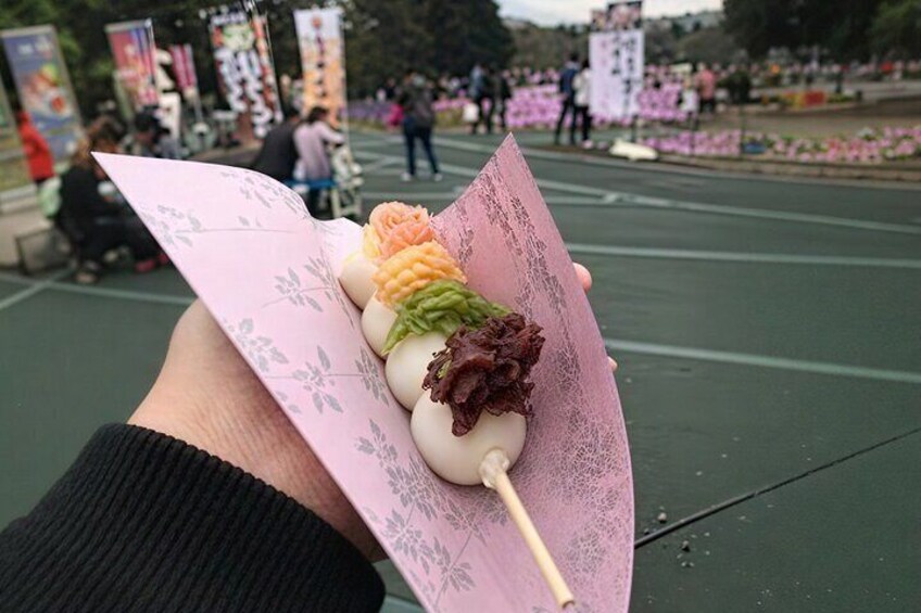 Tokyo Cherry Blossom Mt Fuji and Shibazakura Festival Day Trip