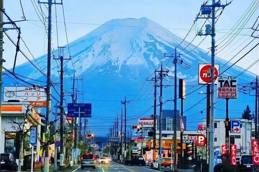 Tokyo Cherry Blossom Mt Fuji and Shibazakura Festival Day Trip