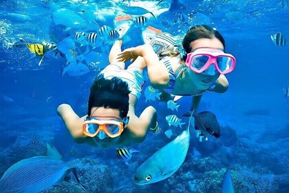 Private Snorkelling Tour at Pigeon Island Trincomalee